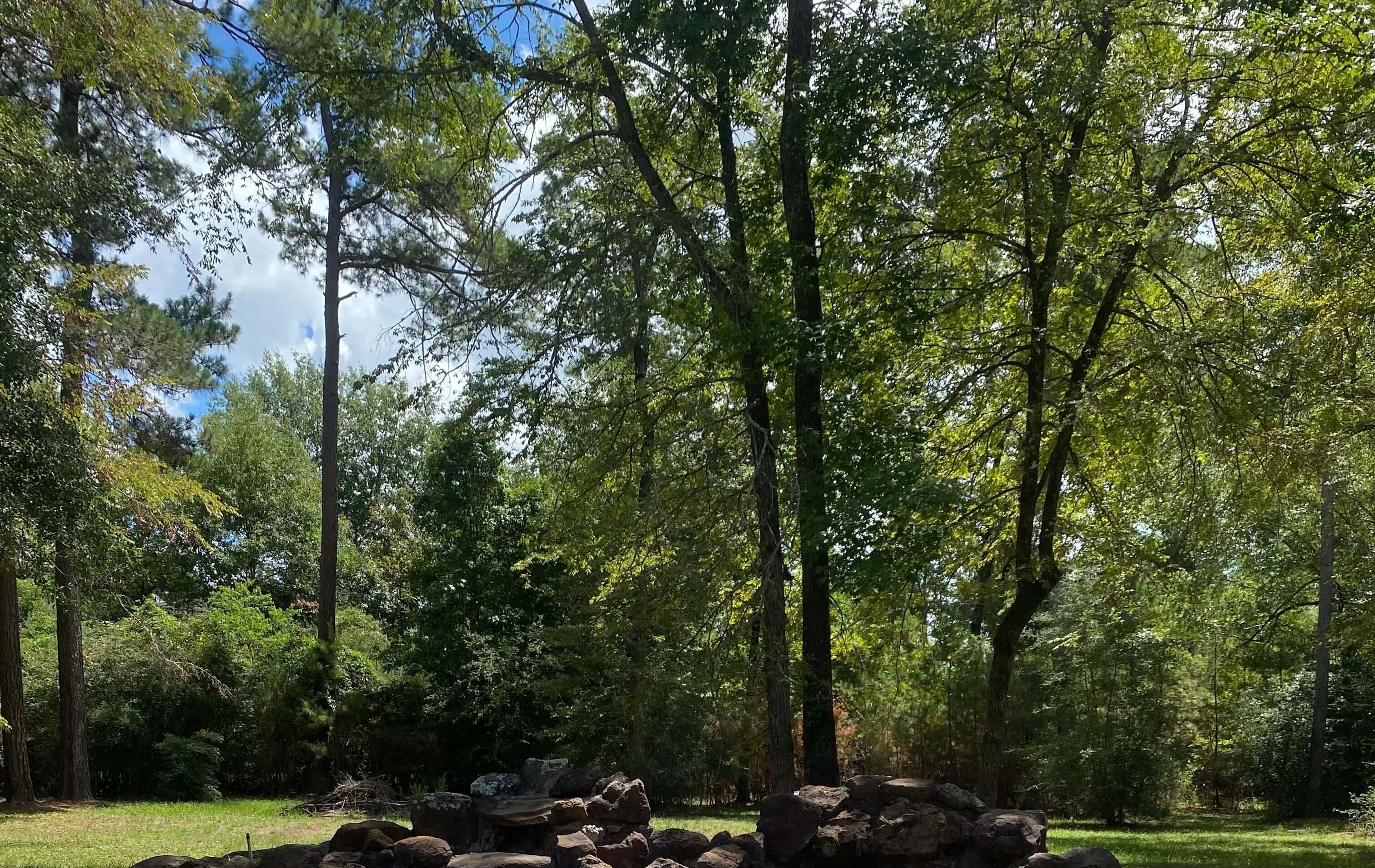 woods in magnolia texas