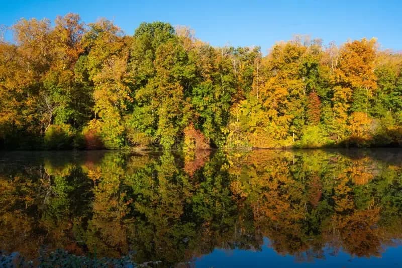 lake in clemmons nc