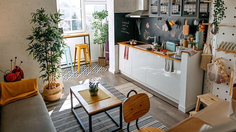 small apartment living area