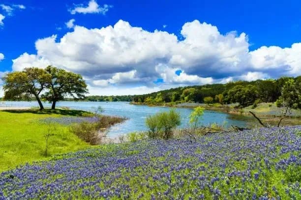 lake in springtown texas