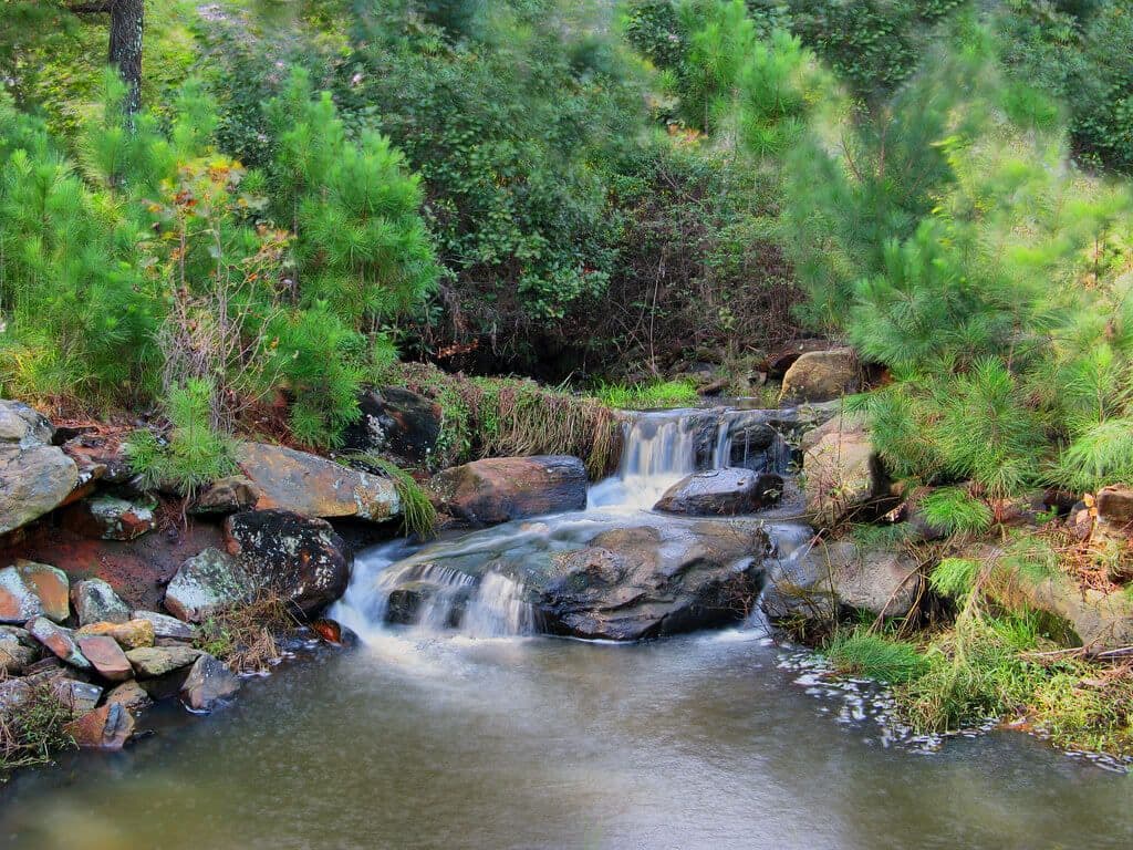 stockbridge georgia