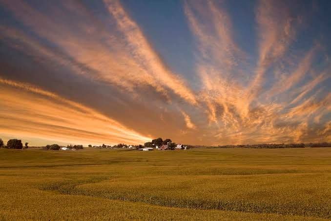 urbandale iowa field