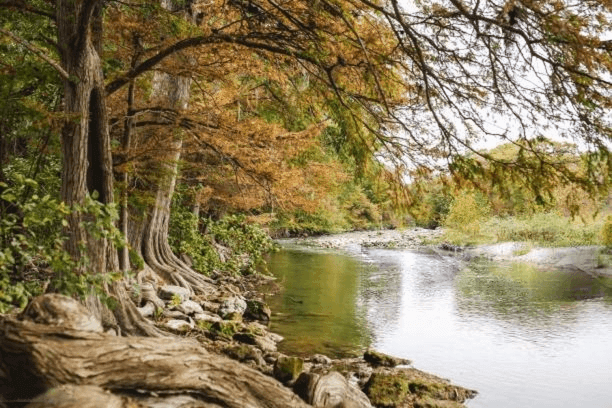 river in spring branch texas
