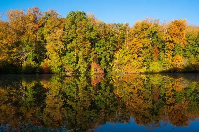 lake in clemmons nc