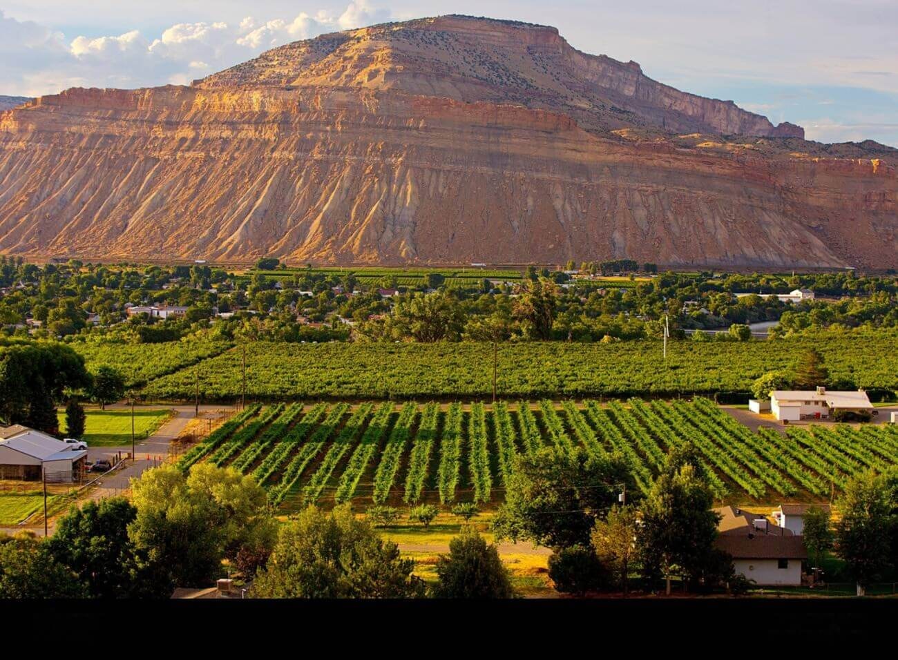 palisade colorado