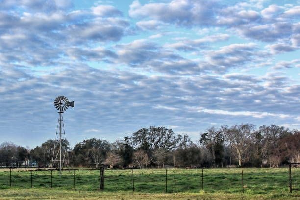 tomball texas