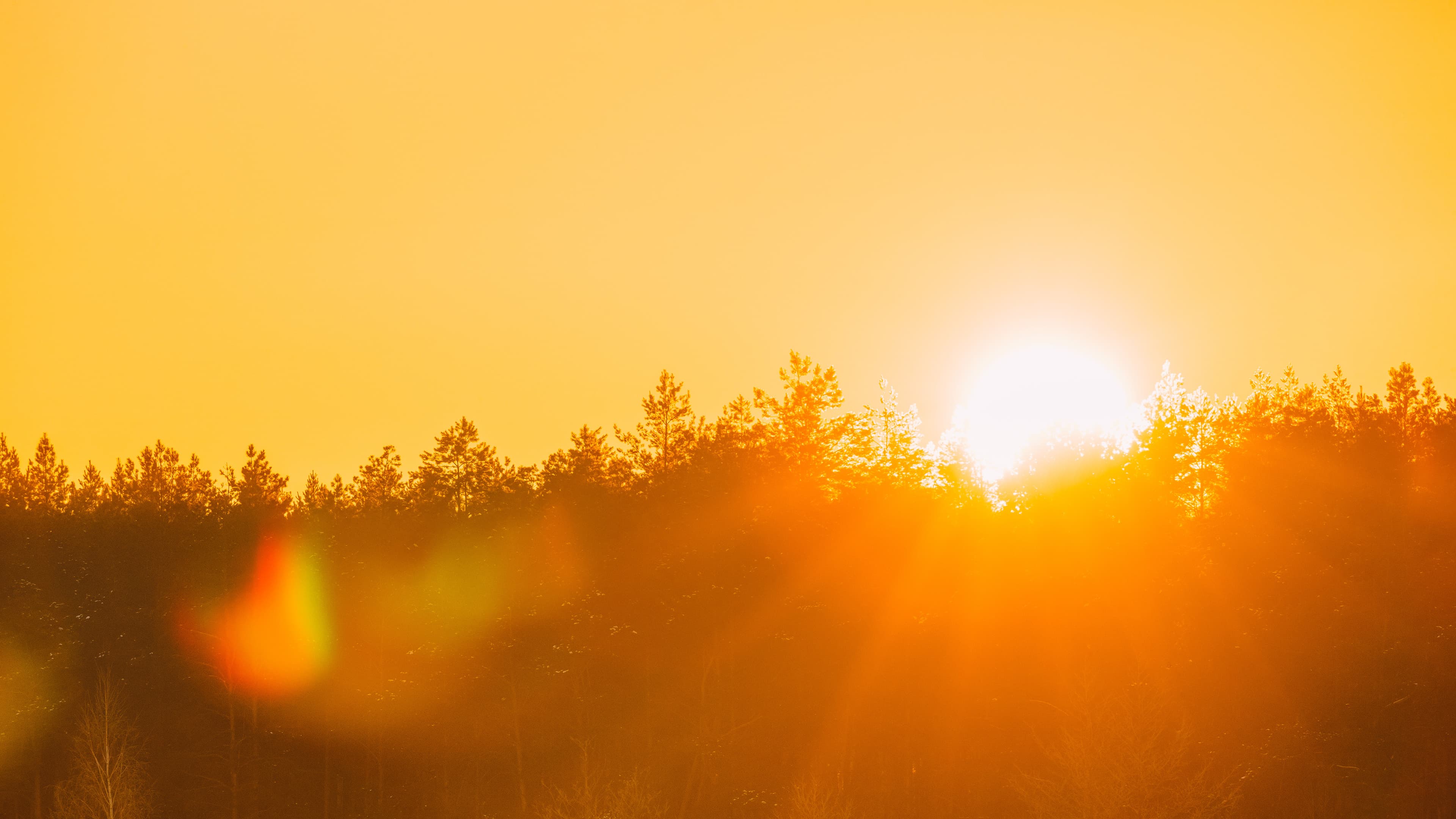 Long-Term Benefits of Climate-Controlled Storage in Springfield, IL