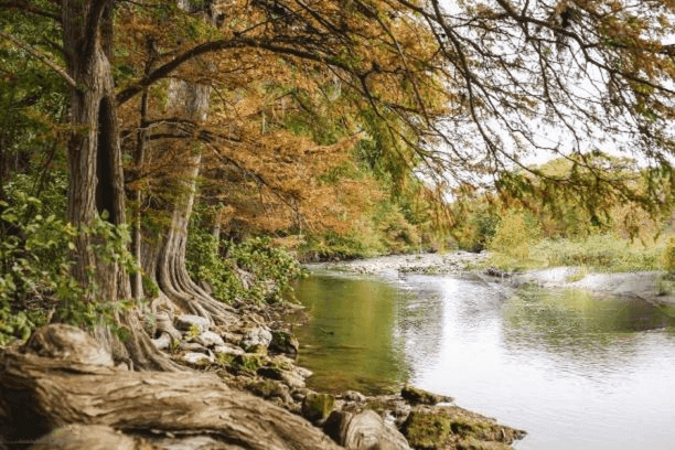 river in spring branch texas
