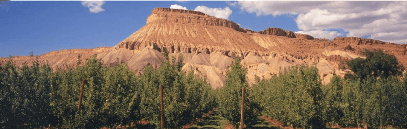plateau in orchard mesa colorado