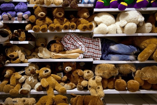 stuffed animals and man on shelf